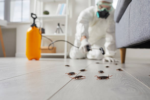 Commercial Kitchen Cockroach Control in Spackenkill